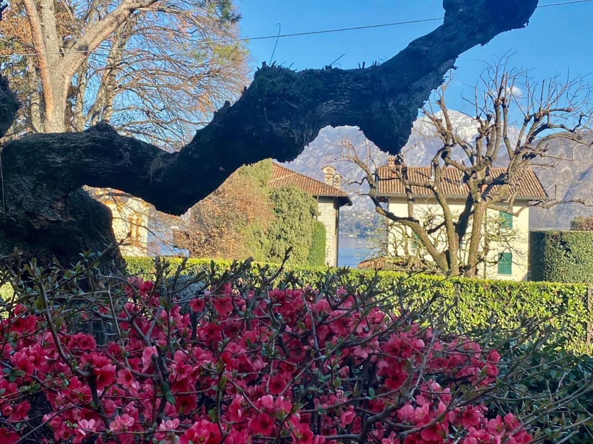 Villa Magnolia - Lake Como 레노 외부 사진
